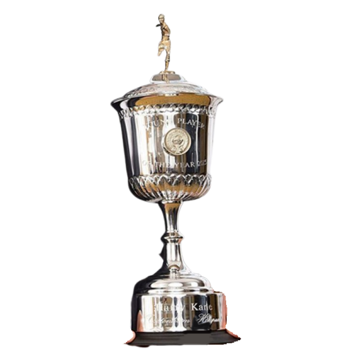 English PFA Young Players Player of the Year