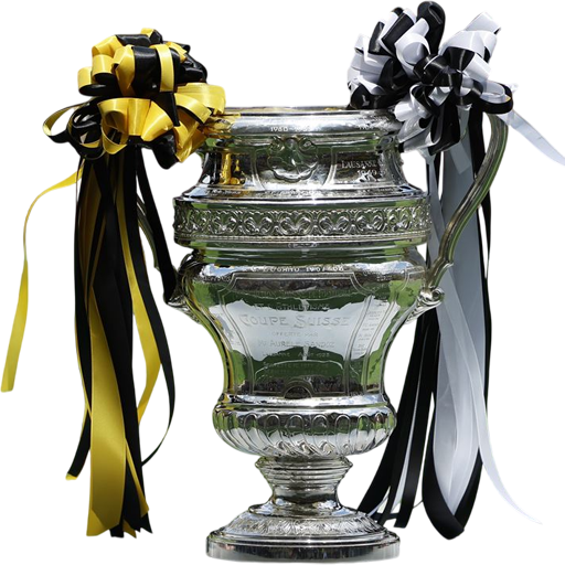 Swiss Cup