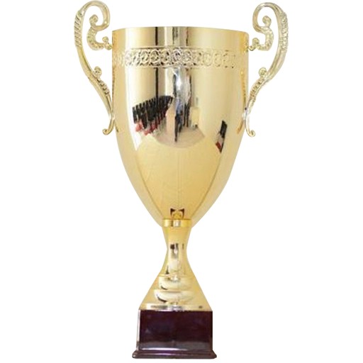 Hungarian League Cup