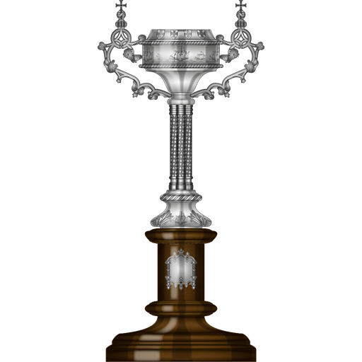 Portuguese Taca de Portugal