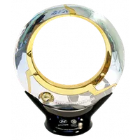 Australian A-League Champions