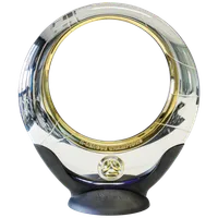 Australian A-League Premiers