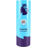 English Premier League Player of the Season
