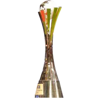 FIFA Intercontinental Cup