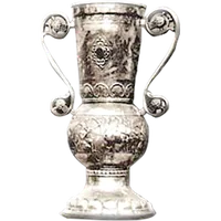 Hungarian Cup