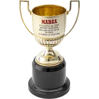 Spanish La Liga Trofeo Pichichi