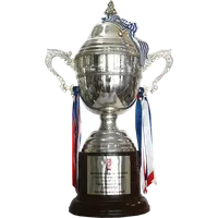 Uruguayan Primera Division