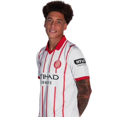 Axel Witsel