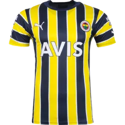 Aktuelles Trikot