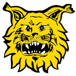Ilves