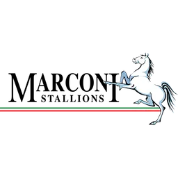 Marconi Stallions