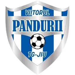 Viitorul Pandurii Tg. Jiu