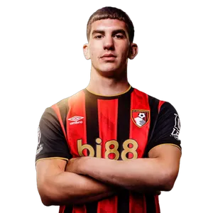 Veljko Milosavljevic