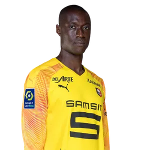 Alfred Gomis